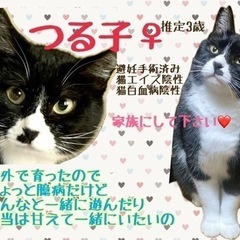 【つる子】♀おやつと紐と猫が大好き❤