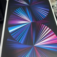 (極美品)ipad pro 11(第3世代)cellular 1...