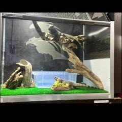 爬虫類 大型アクリルケージ 防水