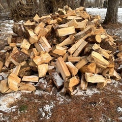 松の木薪
