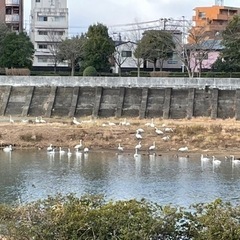 雑談グループLINE友達募集