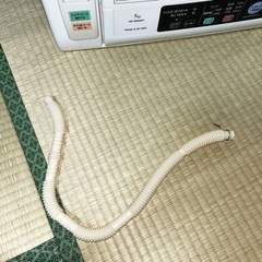早い者勝ち❗️HITACHI 衣類乾燥機 乾燥容量5kg【美品】
