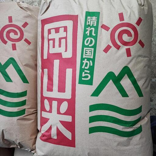 令和7年産 きぬむすめ 玄米 30kg ｜ 米・穀物/玄米 産直アウル 農家・漁師