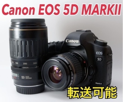 ★Canon EOS 5D MARKⅡ★スマホ転送●人気フルサイズ機  1ヶ月動作補償あり！ 安心のゆうパック代引き発送！ 送料、代引き手数料無料！