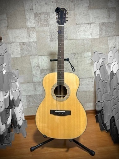 アコースティックギター Aria Dreadnought AF-205
