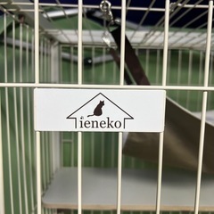 ネコ 猫 ケージ ieneko 木製 移動キャスター ハンモック付き 幅95cm