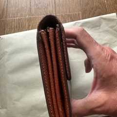 ルゥイビトン、サラ