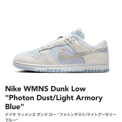 Nike WMNS Dunk Low "Photon Dust/...