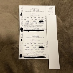 本日公演（2月3日）　劇団四季　アナ雪S1席チケット2枚