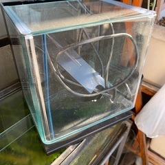 オールガラス水槽（背景ブラック濾過機能付き）Tetra