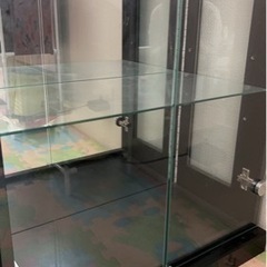 決まりました 値下げ ガラス コレクションケース ショーケース