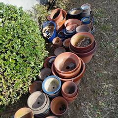 植木鉢たくさんあります！