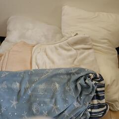 ニトリ ホテルスタイル枕セット【即日受取り可能🙆🏻‍♀️】