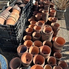 中古の植木鉢　500個以上お持ち帰り頂ける方無料でさしあげます