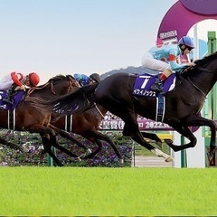 東京競馬場へ一緒に行ってくれる方募集