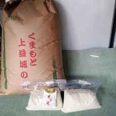 令和５年産　３０キロ　玄米　おまけで　餅米2キロ　８０００円