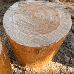 杉の木皮剥き③