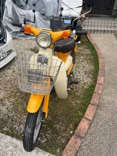 リトルカブ