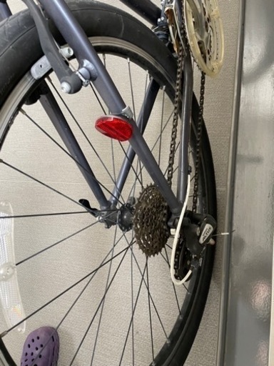 ジャイアント グラビエ Lサイズ 現物確認歓迎 GIANT]グラビエ(マット