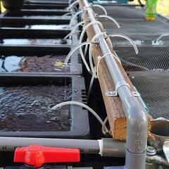 メダカ飼育容器 新水垂れ流し配管、エアー配管セット