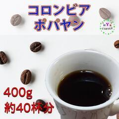 自家焙煎 コロンビア ポパヤン 400g 【父の日・母の日・誕生...