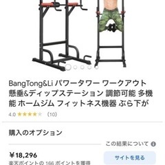 【お渡しする方決定】Bang Tong&Liパワータワーワークアウト 