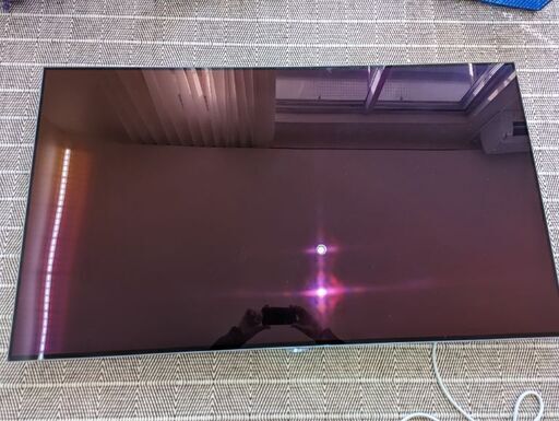 LGエレクトロニクス 有機ELテレビ OLED55B6P 55V型