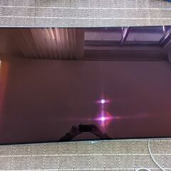 LGエレクトロニクス 有機ELテレビ OLED55B6P 55V型