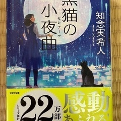 小説「黒猫の小夜曲」知念実希人