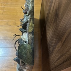 水槽　水槽台　ウォールロック　3点セット