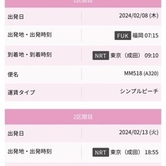 【ネット決済・配送可】2/8福岡↔︎2/13東京（成田）往復 p...