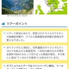 5月か8月に一緒に北欧クルーズに行ける方探してます✨