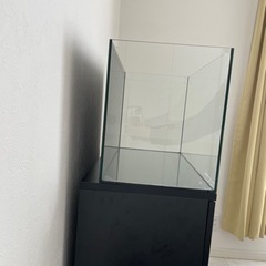 シェルAIO 水槽台 60水槽