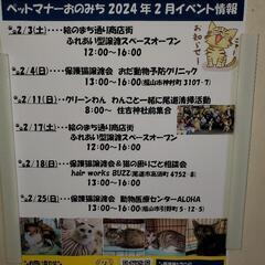 2月25日福山で保護猫の譲渡会