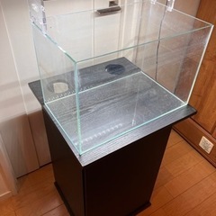 ADA　水槽セット　水草　アクアリウム　熱帯魚　手渡し限定