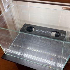 ADA　水槽セット　水草　アクアリウム　熱帯魚　手渡し限定