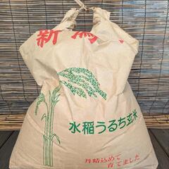 くず米 10kg / 飼料用 / 2022年秋収穫