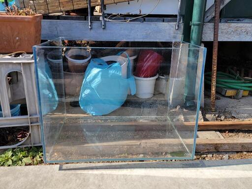 60cm ワイドタイプ 水槽