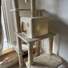 猫タワー