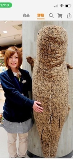 京都市水族館オリジナル　オオサンショウウオぬいぐるみ　特大サイズ