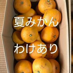 無農薬　訳あり　ワケアリ　夏みかん　夏ミカン　柑橘　柑橘類　果物...