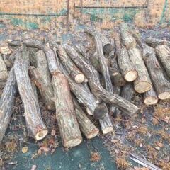 薪ストーブに使用できそうな原木の無料提供