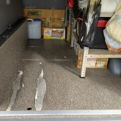 ハイエース標準 荷室ベッド