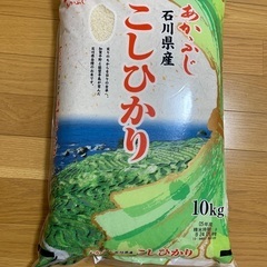米　精米　こしひかり　コシヒカリ　10kg