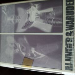 人造人間キカイダー ビジンダー&ワルダー SUPER HERO COLLECTION 1/15