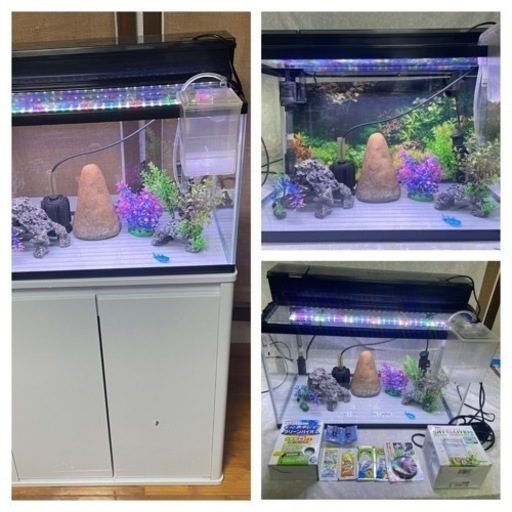 GEX 60cm水槽　水槽台　画像の一式セットで