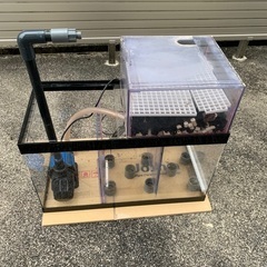 アクリル水槽 120×60×45 オーバーフロー濾過槽付き
