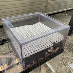 アクリル水槽 120×60×45 オーバーフロー濾過槽付き