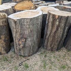 【広葉樹MIXおまけ付き】軽トラ1台分