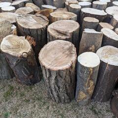 【広葉樹MIXおまけ付き】軽トラ1台分